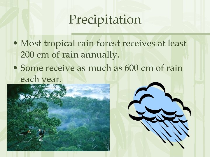 Precipitation • Most tropical rain forest receives at least 200 cm of rain annually.