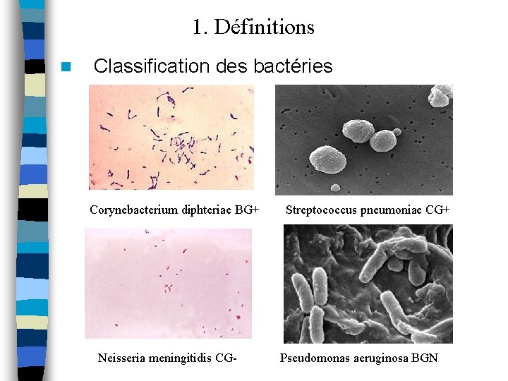 1. Définitions n Classification des bactéries Corynebacterium diphteriae BG+ Neisseria meningitidis CG- Streptococcus pneumoniae