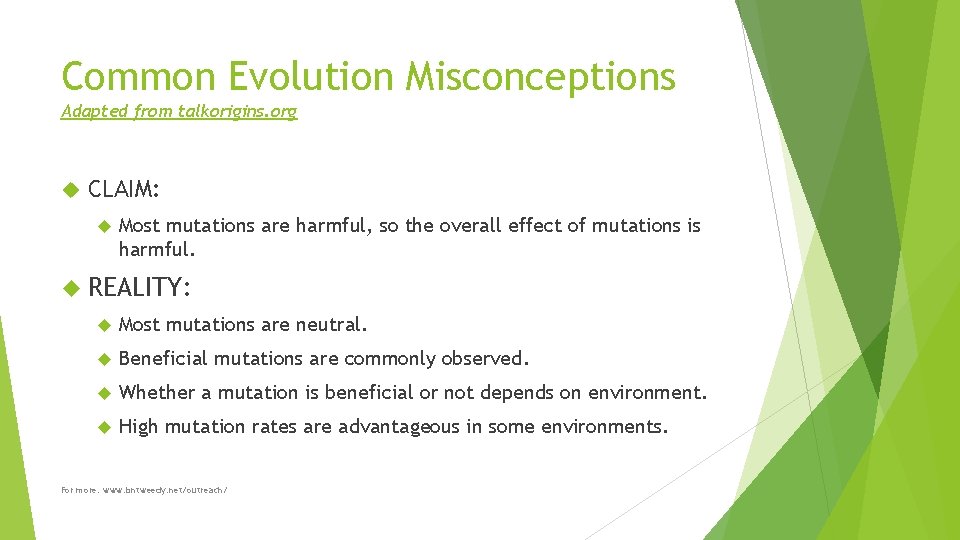 Common Evolution Misconceptions Adapted from talkorigins. org CLAIM: Most mutations are harmful, so the