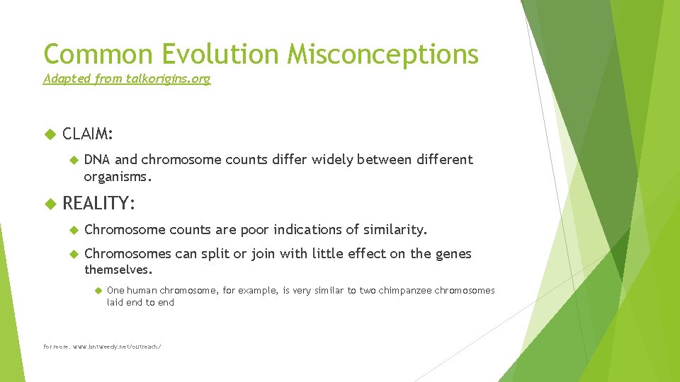 Common Evolution Misconceptions Adapted from talkorigins. org CLAIM: DNA and chromosome counts differ widely