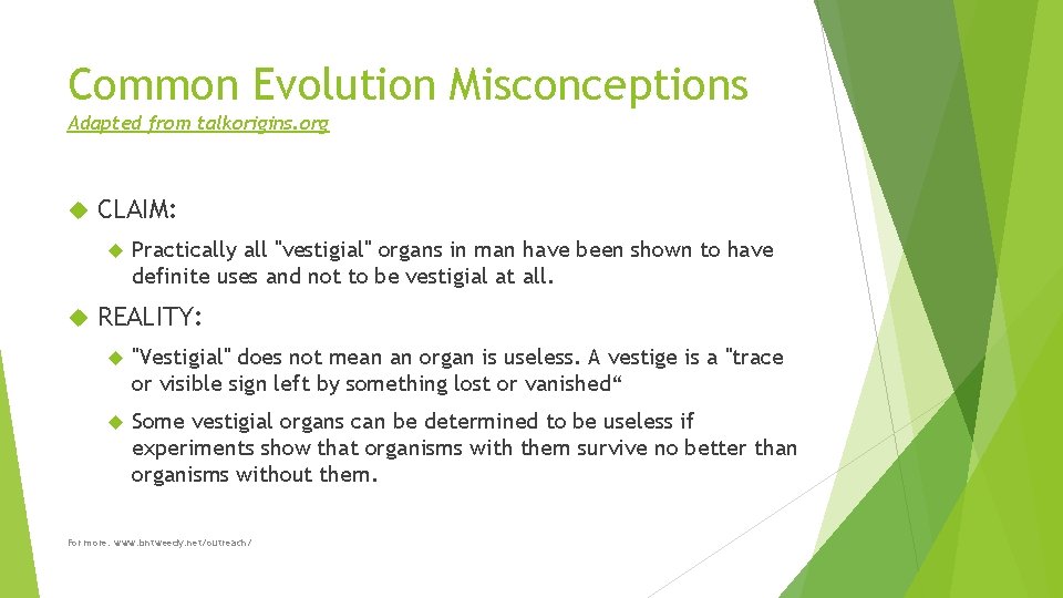 Common Evolution Misconceptions Adapted from talkorigins. org CLAIM: Practically all "vestigial" organs in man