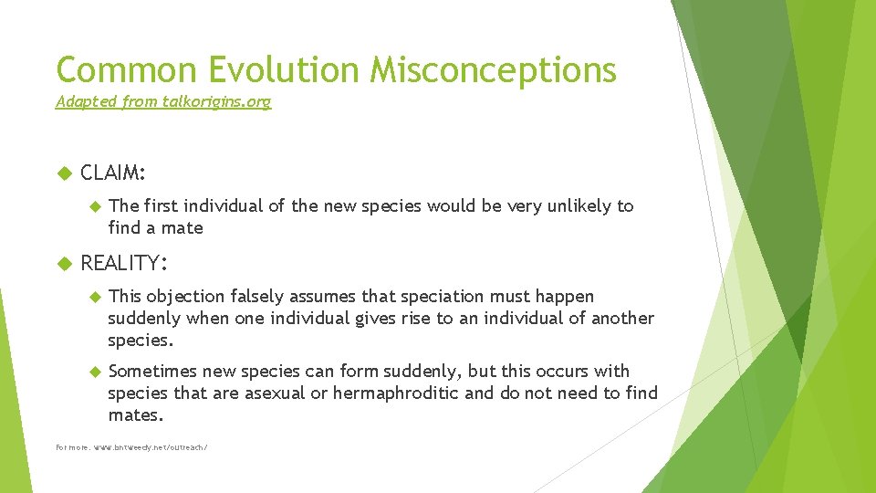 Common Evolution Misconceptions Adapted from talkorigins. org CLAIM: The first individual of the new