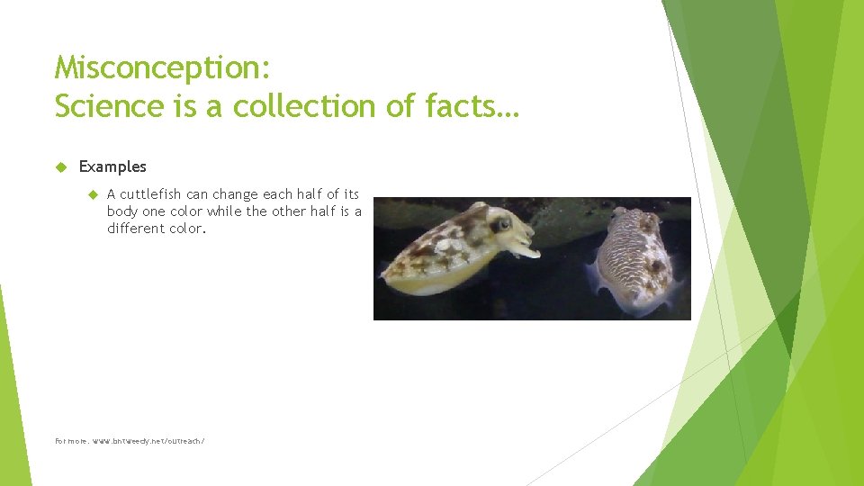 Misconception: Science is a collection of facts… Examples A cuttlefish can change each half