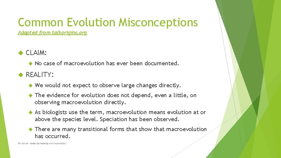 Common Evolution Misconceptions Adapted from talkorigins. org CLAIM: No case of macroevolution has ever