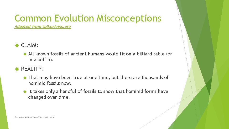 Common Evolution Misconceptions Adapted from talkorigins. org CLAIM: All known fossils of ancient humans
