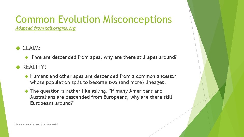 Common Evolution Misconceptions Adapted from talkorigins. org CLAIM: If we are descended from apes,