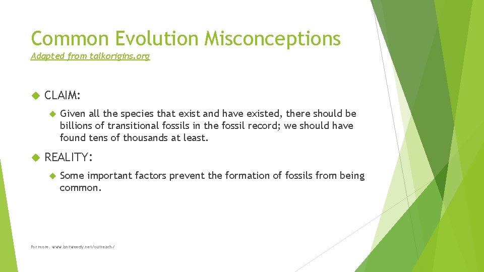 Common Evolution Misconceptions Adapted from talkorigins. org CLAIM: Given all the species that exist