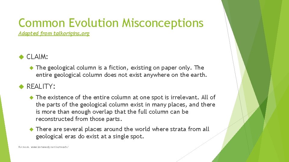 Common Evolution Misconceptions Adapted from talkorigins. org CLAIM: The geological column is a fiction,