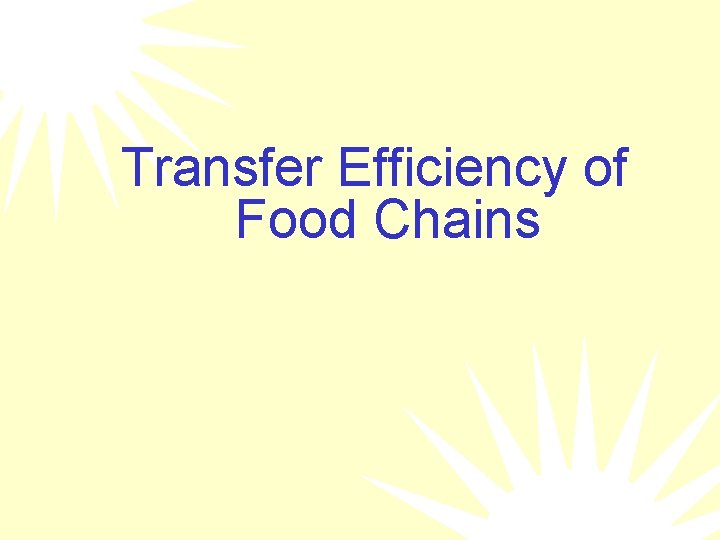 Transfer Efficiency of Food Chains 