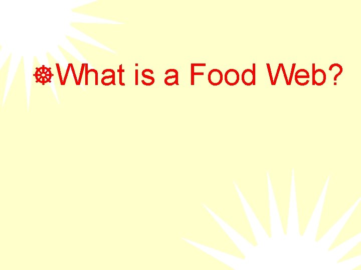 ]What is a Food Web? 