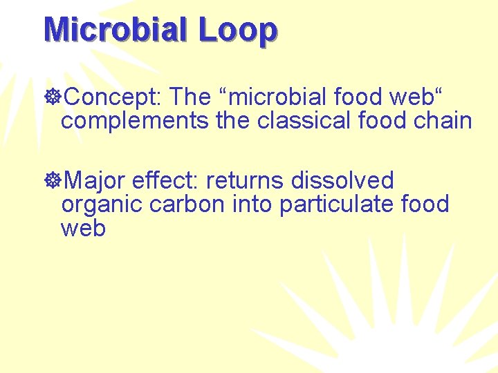Microbial Loop ]Concept: The “microbial food web“ complements the classical food chain ]Major effect:
