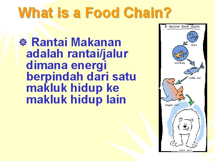 What is a Food Chain? ] Rantai Makanan adalah rantai/jalur dimana energi berpindah dari