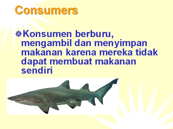 Consumers ]Konsumen berburu, mengambil dan menyimpan makanan karena mereka tidak dapat membuat makanan sendiri