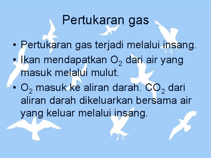 Pertukaran gas • Pertukaran gas terjadi melalui insang. • Ikan mendapatkan O 2 dari