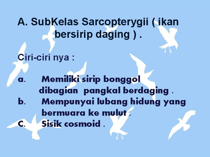 A. Sub. Kelas Sarcopterygii ( ikan bersirip daging ). Ciri-ciri nya : a. b.