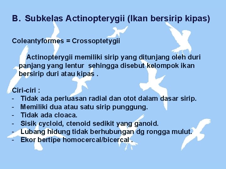 B. Subkelas Actinopterygii (Ikan bersirip kipas) Coleantyformes = Crossoptetygii Actinopterygii memiliki sirip yang ditunjang