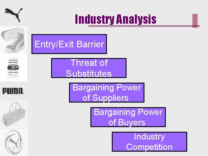Industry Analysis Entry/Exit Barrier Threat of Substitutes Bargaining Power of Suppliers Bargaining Power of