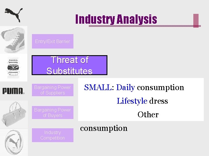 Industry Analysis Entry/Exit Barrier Threat of Substitutes Bargaining Power of Suppliers SMALL: Daily consumption