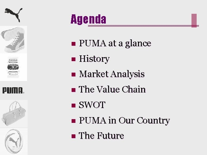 Agenda n PUMA at a glance n History n Market Analysis n The Value