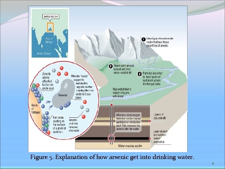 Figure 5. Explanation of how arsenic get into drinking water. 6 