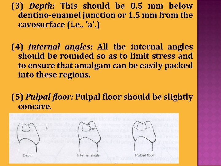 (3) Depth: This should be 0. 5 mm below dentino-enamel junction or 1. 5