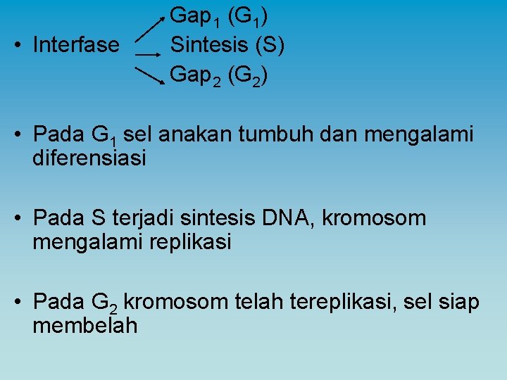  • Interfase Gap 1 (G 1) Sintesis (S) Gap 2 (G 2) •