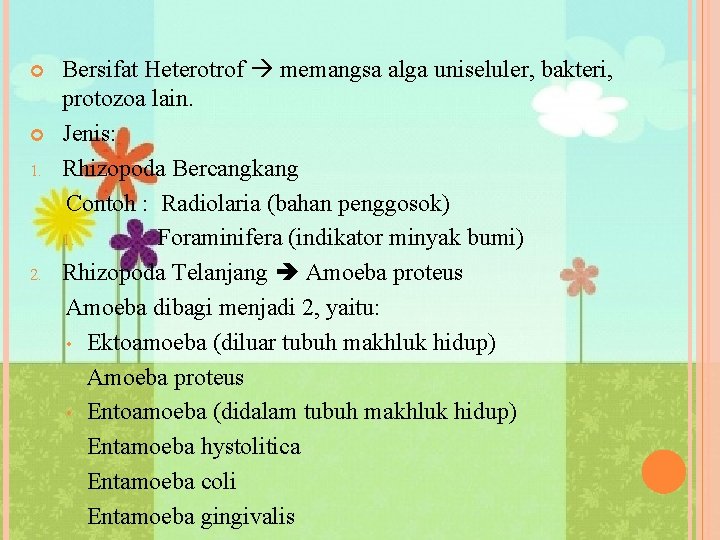  1. 2. Bersifat Heterotrof memangsa alga uniseluler, bakteri, protozoa lain. Jenis: Rhizopoda Bercangkang