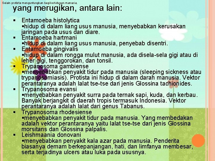 Selain protista menguntungkan bagi kehidupan manusia, yang merugikan, antara lain: § Entamoeba histolytica §hidup