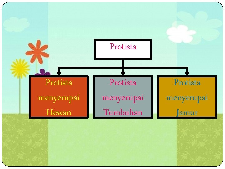 Protista menyerupai Hewan Protista menyerupai Tumbuhan Protista menyerupai Jamur 