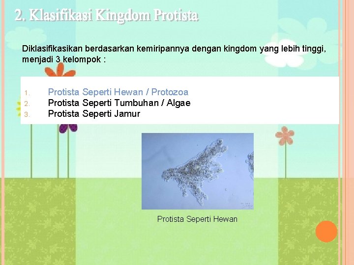 Diklasifikasikan berdasarkan kemiripannya dengan kingdom yang lebih tinggi, menjadi 3 kelompok : 1. 2.