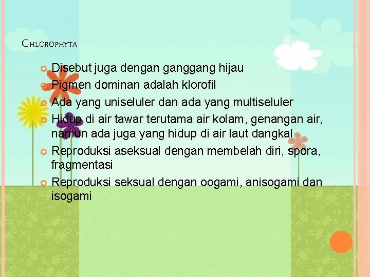 CHLOROPHYTA Disebut juga dengan gang hijau Pigmen dominan adalah klorofil Ada yang uniseluler dan