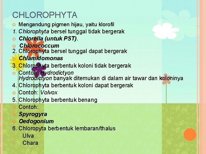 CHLOROPHYTA Mengandung pigmen hijau, yaitu klorofil 1. Chlorophyta bersel tunggal tidak bergerak Chlorella (untuk