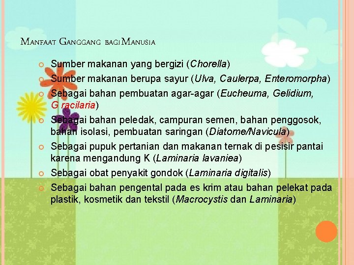 MANFAAT GANG BAGI MANUSIA Sumber makanan yang bergizi (Chorella) Sumber makanan berupa sayur (Ulva,