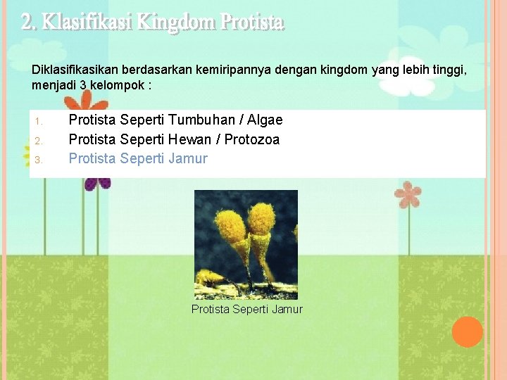 Diklasifikasikan berdasarkan kemiripannya dengan kingdom yang lebih tinggi, menjadi 3 kelompok : 1. 2.