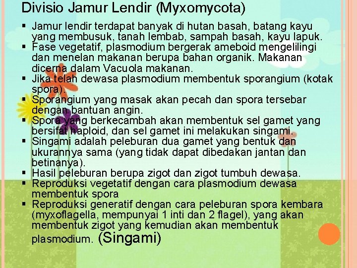 Divisio Jamur Lendir (Myxomycota) § Jamur lendir terdapat banyak di hutan basah, batang kayu