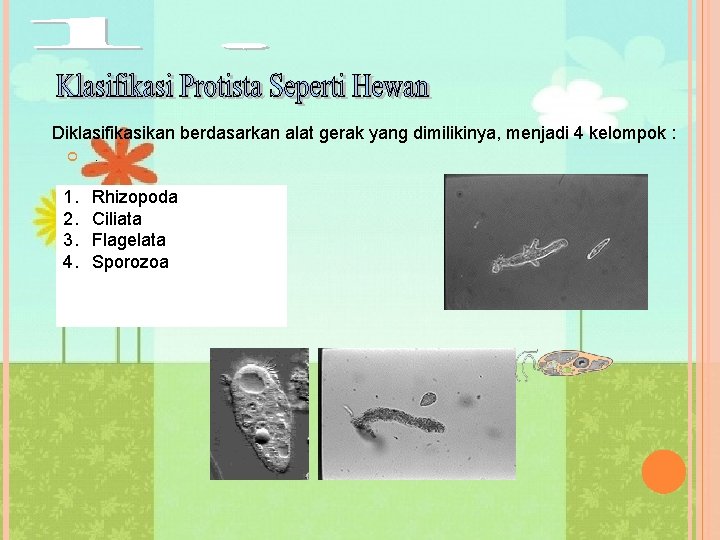 . Diklasifikasikan berdasarkan alat gerak yang dimilikinya, menjadi 4 kelompok : 1. 2. 3.