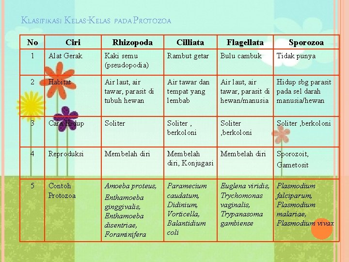 KLASIFIKASI KELAS-KELAS PADA PROTOZOA No Ciri Rhizopoda Cilliata Flagellata Sporozoa 1 Alat Gerak Kaki