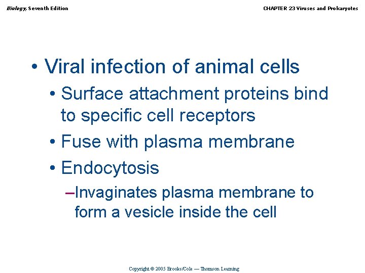 Biology, Seventh Edition CHAPTER 23 Viruses and Prokaryotes • Viral infection of animal cells