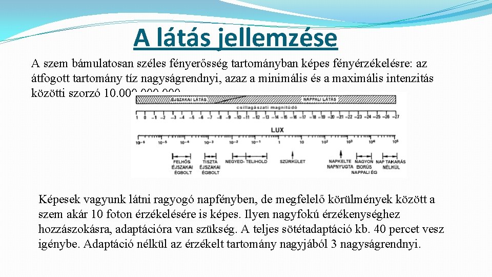 A látás jellemzése A szem bámulatosan széles fényerősség tartományban képes fényérzékelésre: az átfogott tartomány