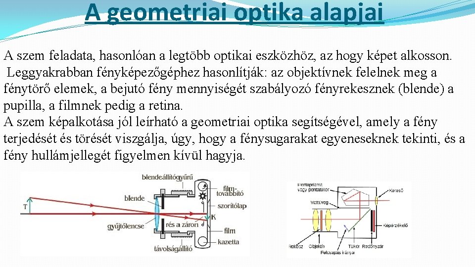 A geometriai optika alapjai A szem feladata, hasonlóan a legtöbb optikai eszközhöz, az hogy