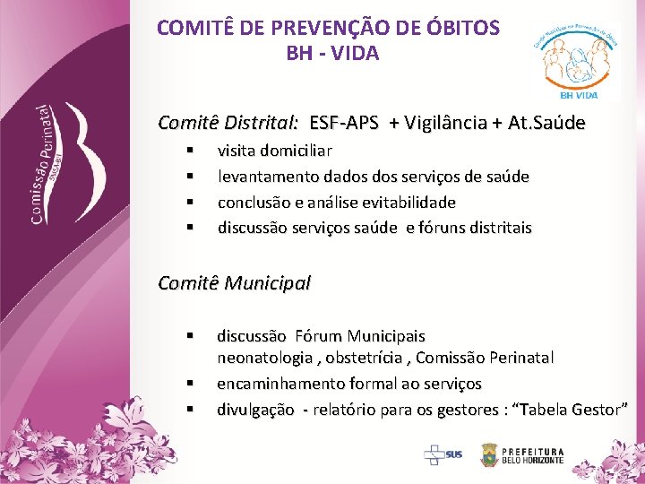COMITÊ DE PREVENÇÃO DE ÓBITOS BH - VIDA Comitê Distrital: ESF-APS + Vigilância +
