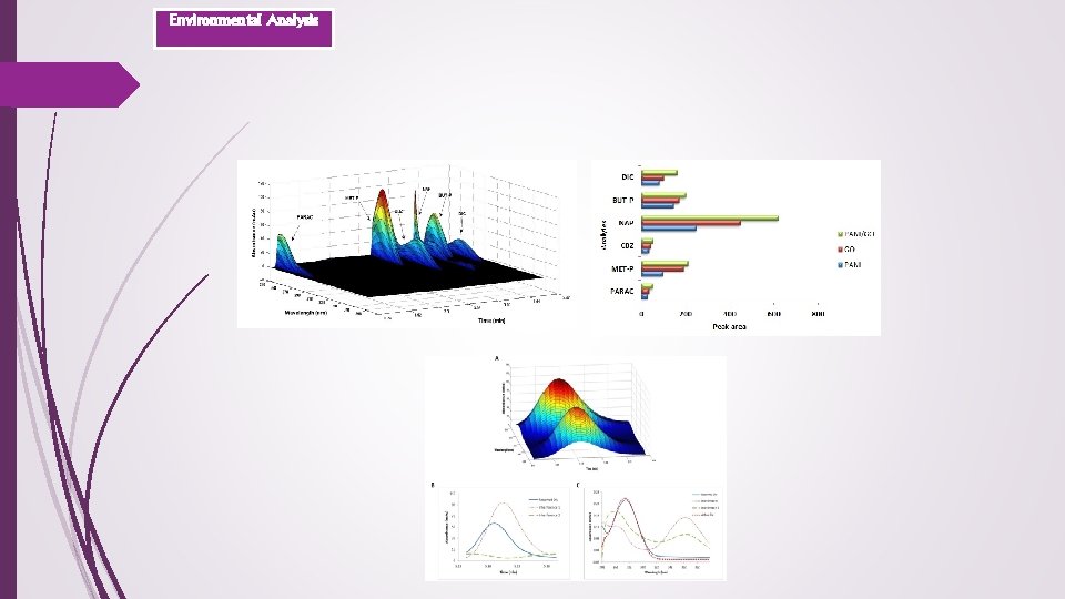 Environmental Analysis 