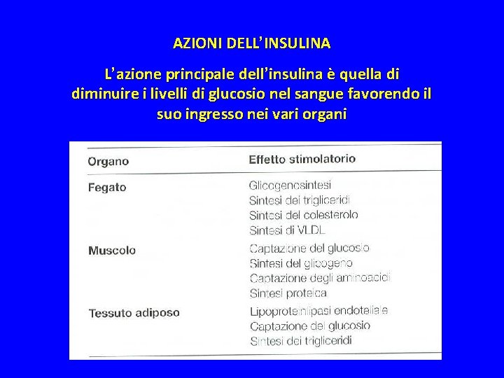 AZIONI DELL’INSULINA L’azione principale dell’insulina è quella di diminuire i livelli di glucosio nel