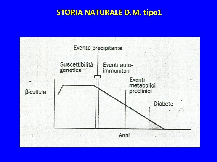 STORIA NATURALE D. M. tipo 1 