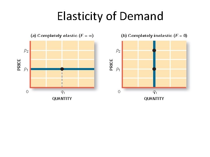 Elasticity of Demand 