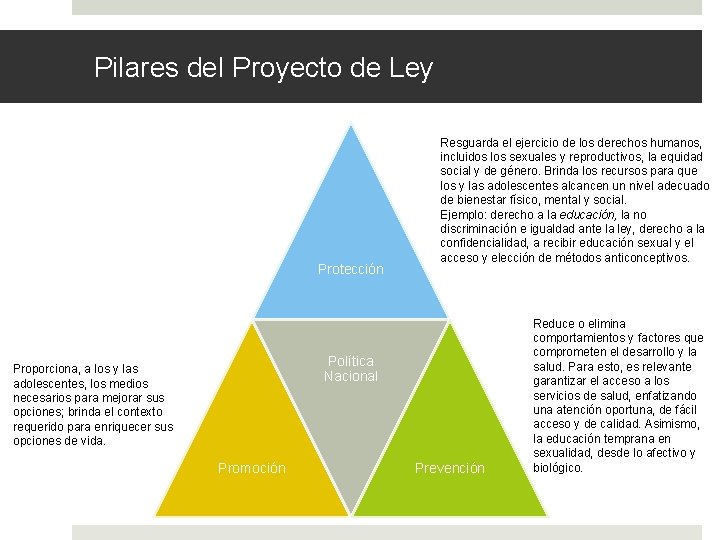 Pilares del Proyecto de Ley Protección Resguarda el ejercicio de los derechos humanos, incluidos