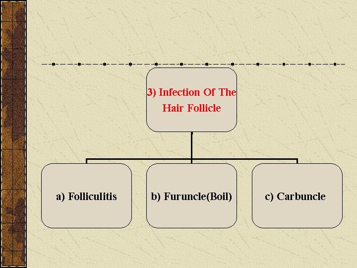 3) Infection Of The Hair Follicle a) Folliculitis b) Furuncle(Boil) c) Carbuncle 