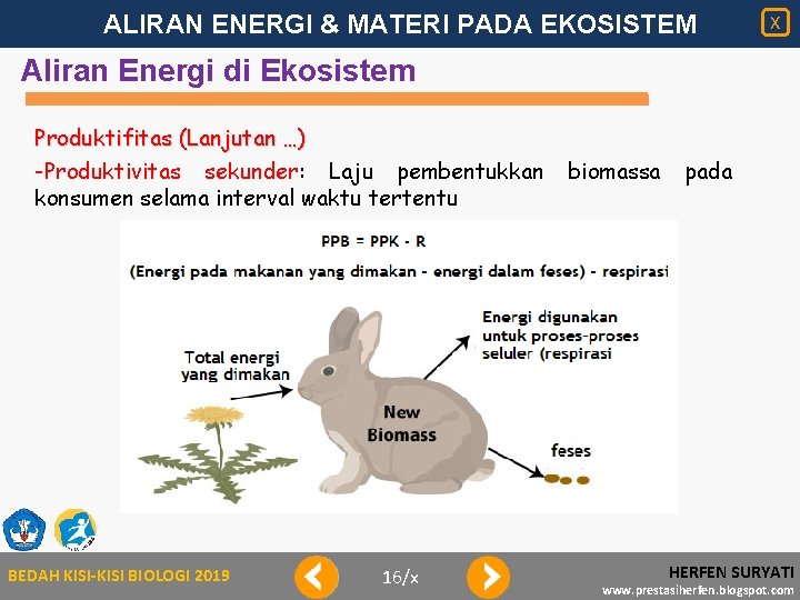 ALIRAN ENERGI & MATERI PADA EKOSISTEM X Aliran Energi di Ekosistem Produktifitas (Lanjutan …)