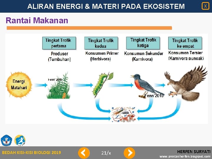 ALIRAN ENERGI & MATERI PADA EKOSISTEM X Rantai Makanan BEDAH KISI-KISI BIOLOGI 2019 21/x