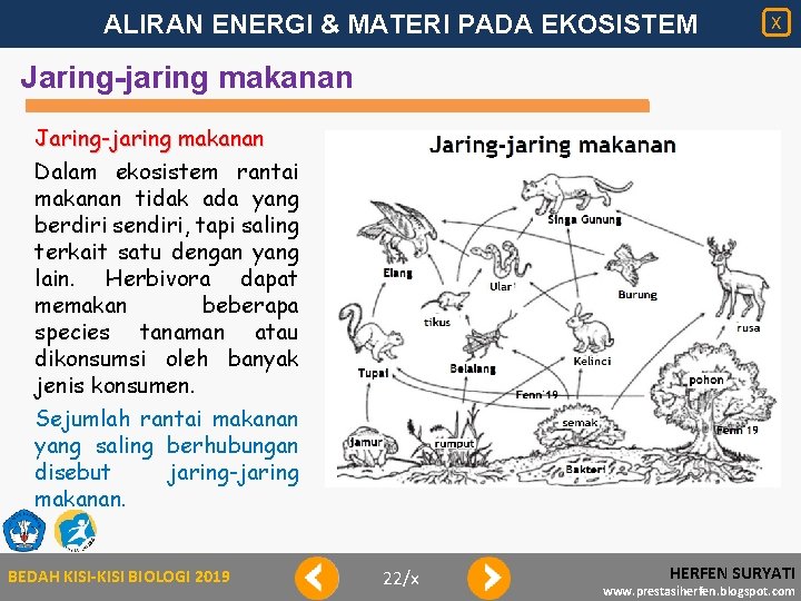 ALIRAN ENERGI & MATERI PADA EKOSISTEM X Jaring-jaring makanan Dalam ekosistem rantai makanan tidak